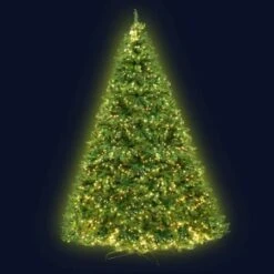 Jingle Jollys Christmas Tree 2.4M With 1488 LED Lights Warm White Green
