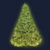 Jingle Jollys 2.4M 8FT Christmas Tree Xmas 3190 LED Lights Warm White 1436 Tips
