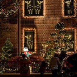 Solight Reindeer Christmas Light LED Strip Rope Xmas Holiday Ornament Outdoor Indoor IP65 88x50cm -Christmas Lights Store 280067 2391685 HD