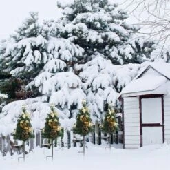 2pcs Solar Christmas Tree Led Light Decorations Outdoor Wall Lamp Waterproof Garden Patio New Year Party Christmas Gift -Christmas Lights Store 283113 2420179 F